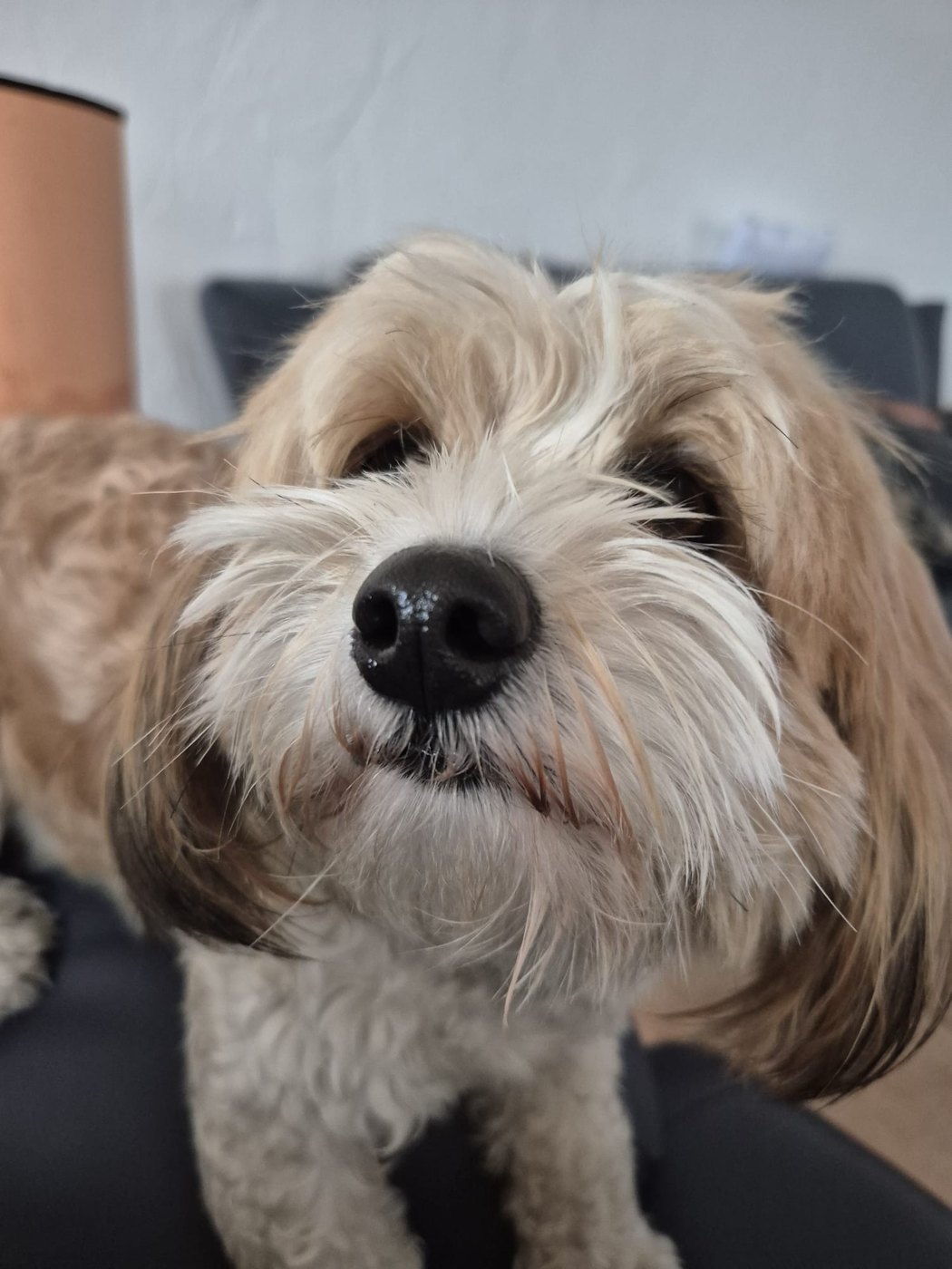 Berta